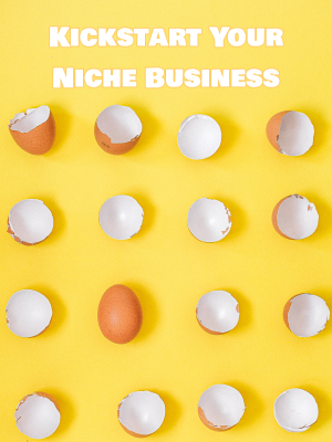 Kickstart Your Niche Buisness